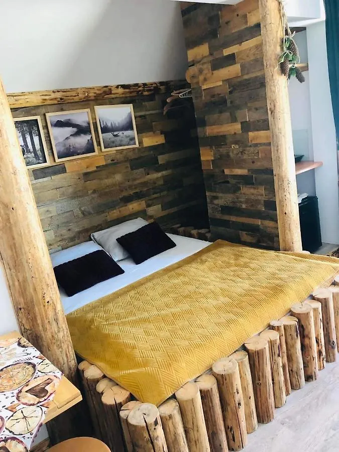 Apartment Rochowa Buznica Zakopane