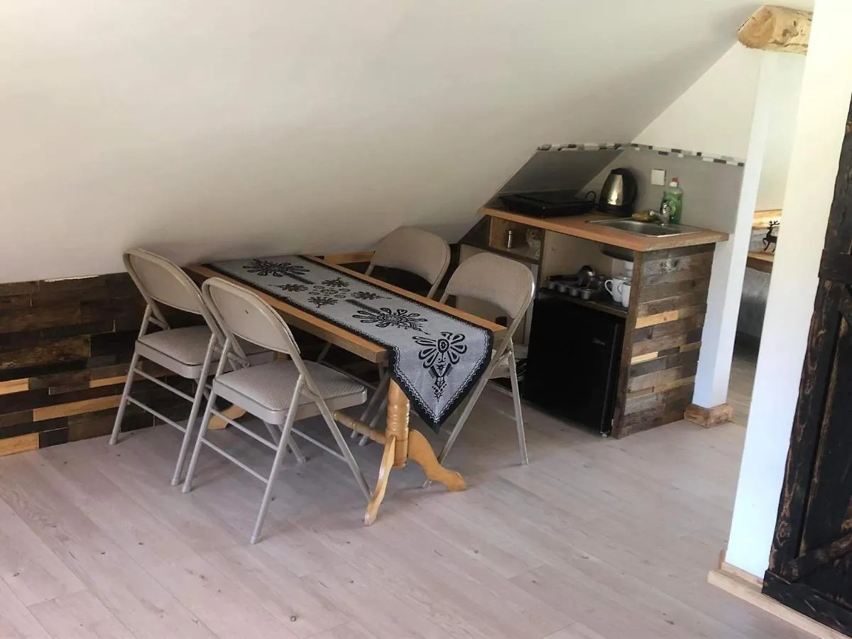 Rochowa Buznica Zakopane Apartment